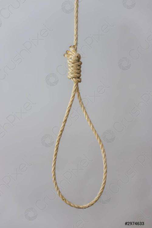 knotted-gallows-rope-on-grey-2974633.jpg